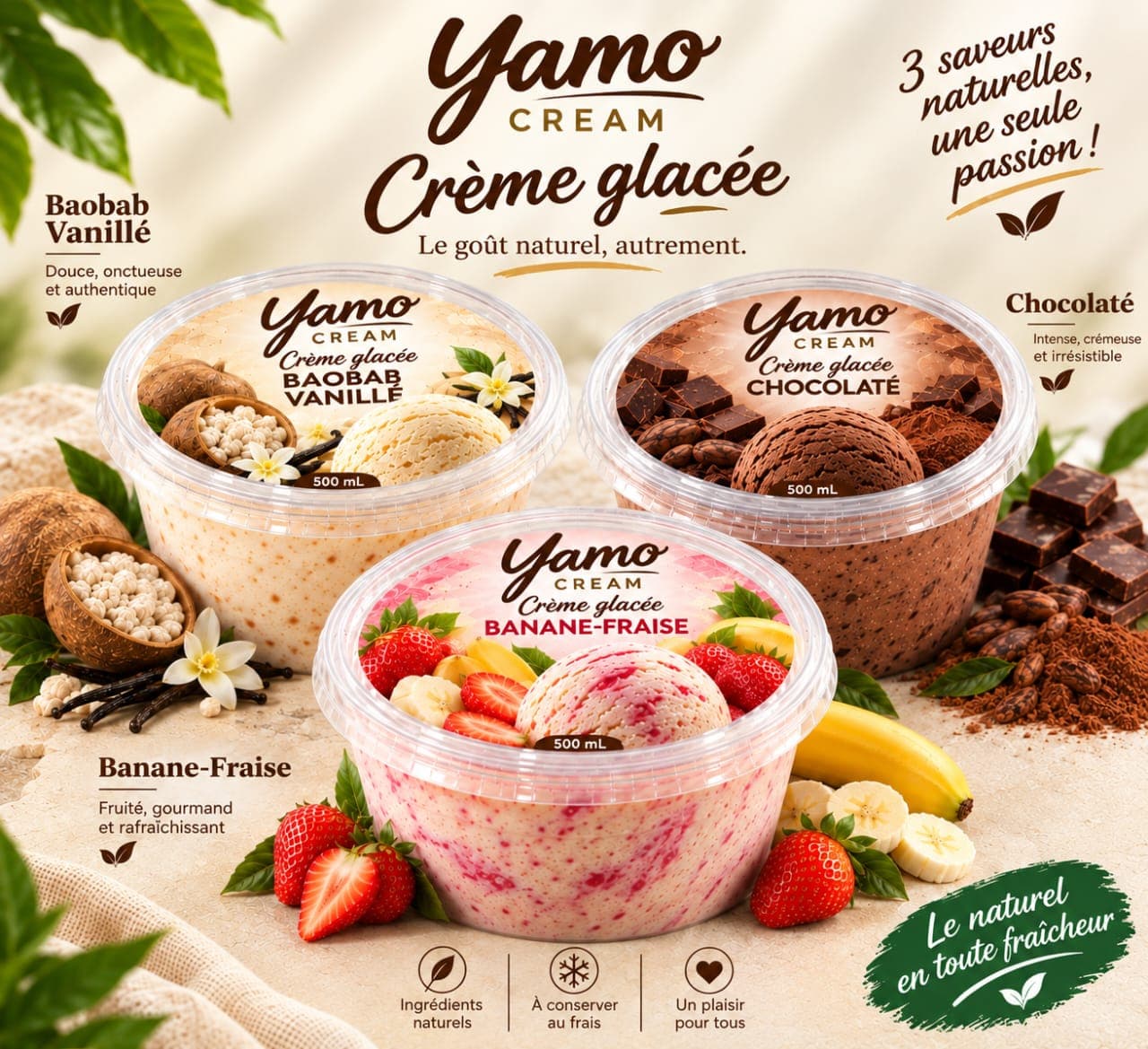 Yamo Cream — Crème Glacée